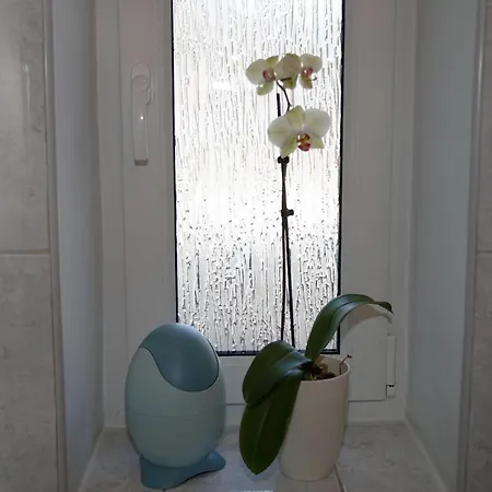 Apartment In Ruhiger Lage Am Waldrand *